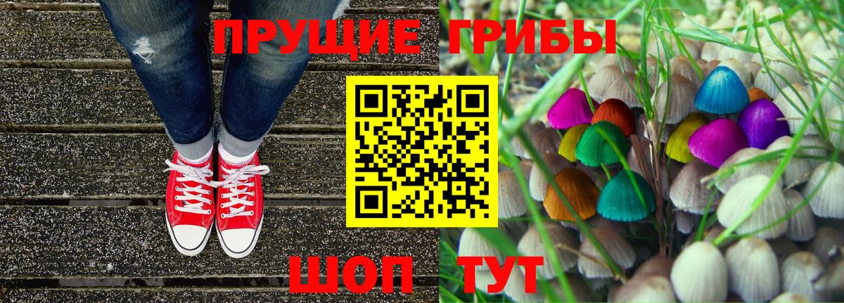 Галлюциногенные грибы Psilocybe  Вход с VPN  Десногорск 